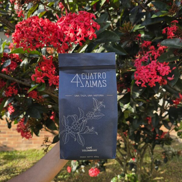 Café Alma Suprema - Image 2